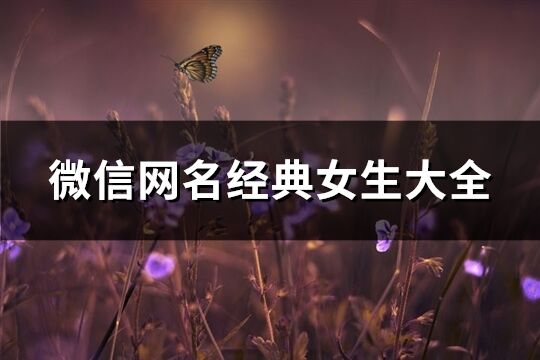 微信网名经典女生大全(精选175个)