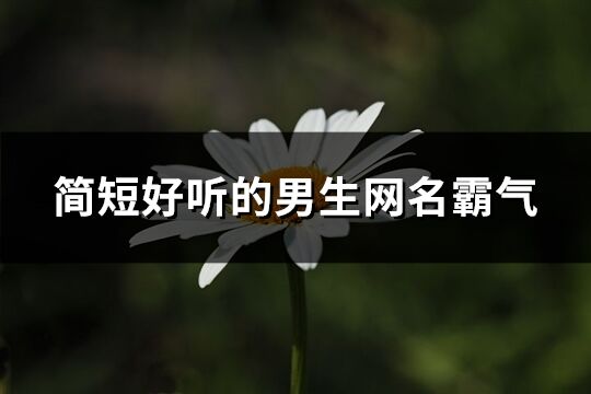 简短好听的男生网名霸气(精选259个)