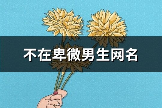 不在卑微男生网名(精选159个)