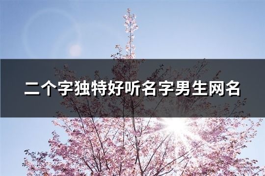 二个字独特好听名字男生网名(精选155个)