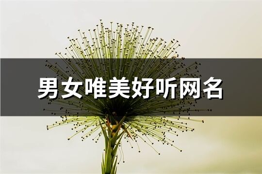 男女唯美好听网名(共85个) 男女唯美好听网名(共85个)