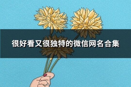 很好看又很独特的微信网名合集(精选194个)
