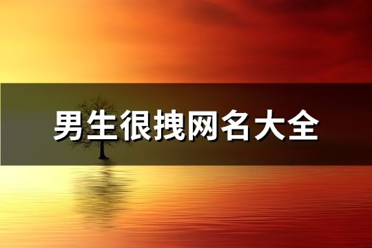 男生很拽网名大全(共184个)