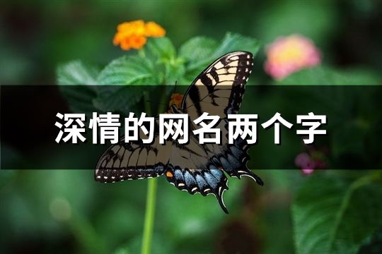 深情的网名两个字(76个)