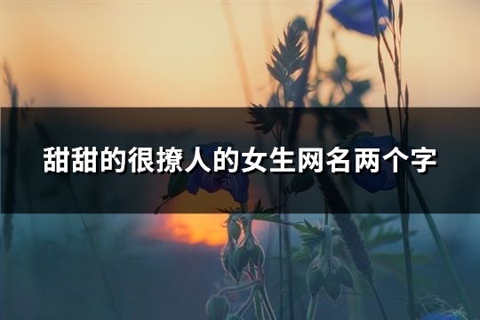 甜甜的很撩人的女生网名两个字(精选141个)