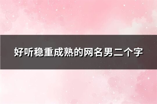 好听稳重成熟的网名男二个字(195个)