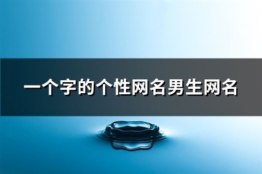 一个字的个性网名男生网名(191个)