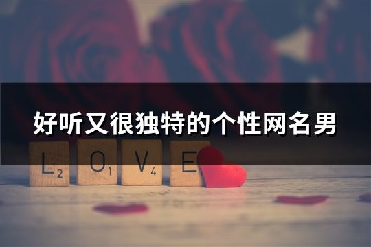 好听又很独特的个性网名男(共82个)
