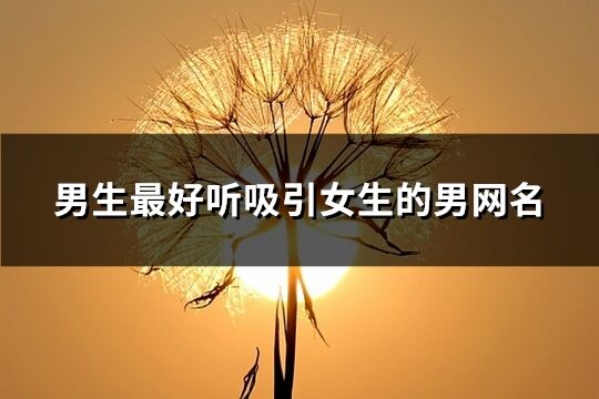 男生最好听吸引女生的男网名(282个)