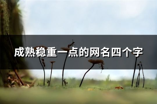 成熟稳重一点的网名四个字(125个)