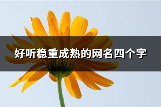 好听稳重成熟的网名四个字(共105个)