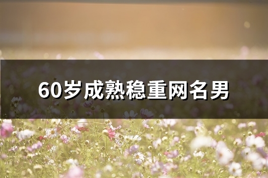 60岁成熟稳重网名男(共171个)
