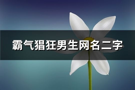 霸气猖狂男生网名二字(精选149个)