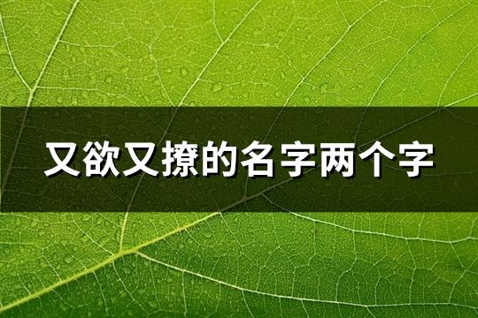 又欲又撩的名字两个字(共80个)