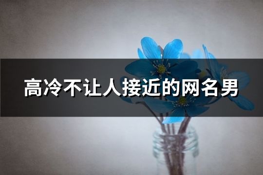 高冷不让人接近的网名男(精选113个)