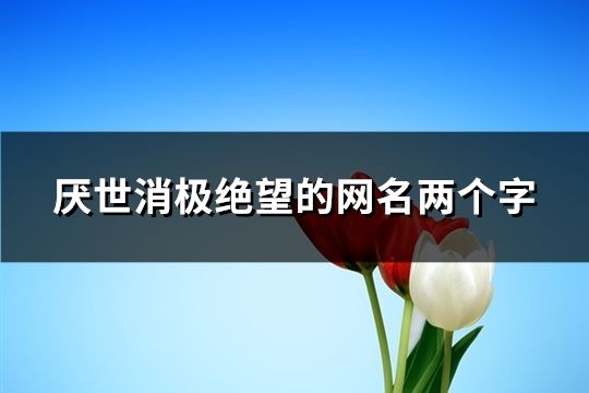 厌世消极绝望的网名两个字(共61个)