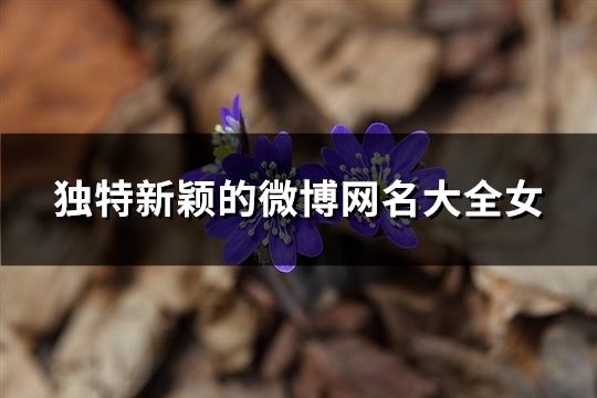 独特新颖的微博网名大全女(精选107个)