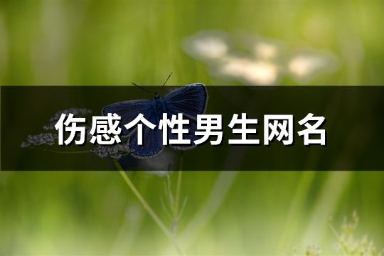 伤感个性男生网名(163个)