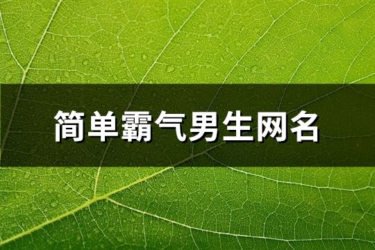 简单霸气男生网名(共194个)