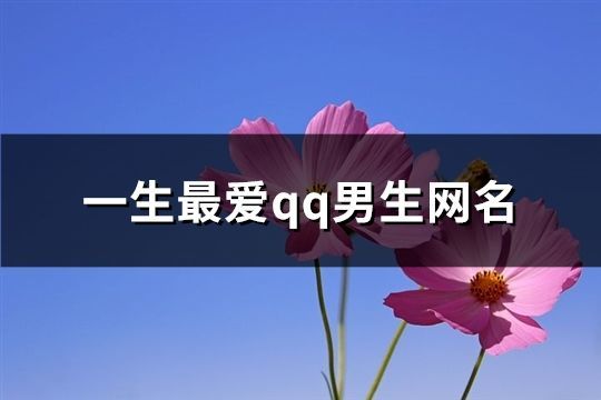 一生最爱qq男生网名(精选185个)