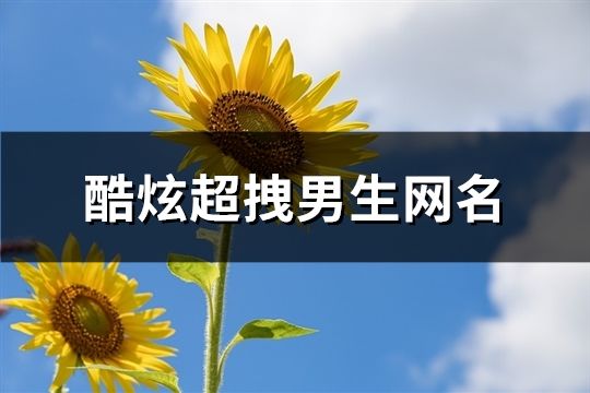 酷炫超拽男生网名(精选198个)