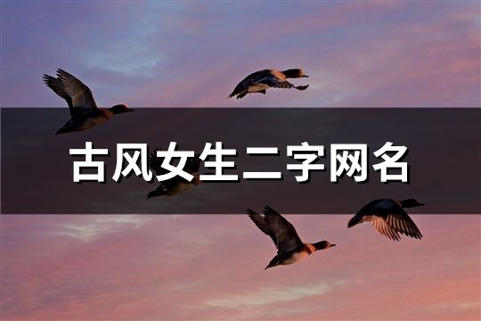 古风女生二字网名(精选73个)
