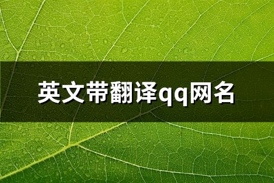 英文带翻译qq网名(精选94个)