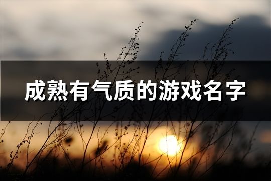 成熟有气质的游戏名字(169个)