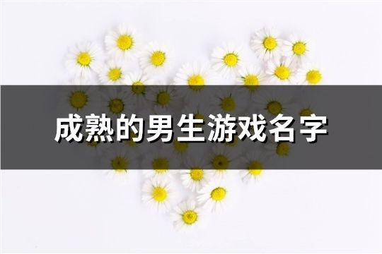 成熟的男生游戏名字(99个)