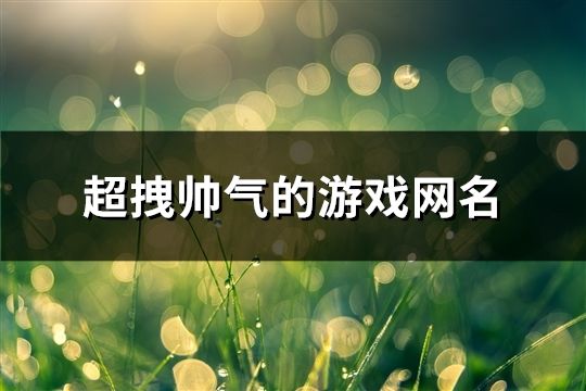 超拽帅气的游戏网名(共186个)