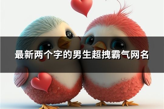 最新两个字的男生超拽霸气网名(共112个)