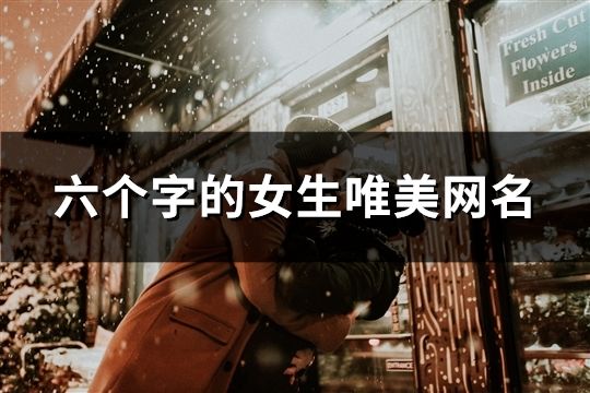 六个字的女生唯美网名(169个)