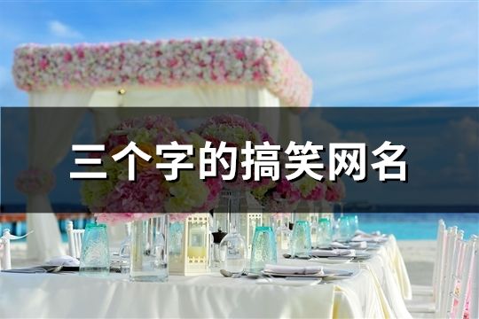 三个字的搞笑网名(精选124个)