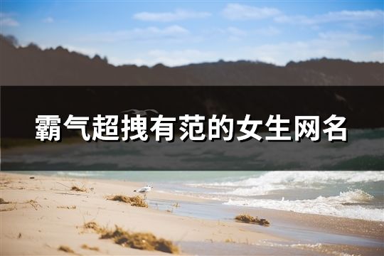 霸气超拽有范的女生网名(共74个)