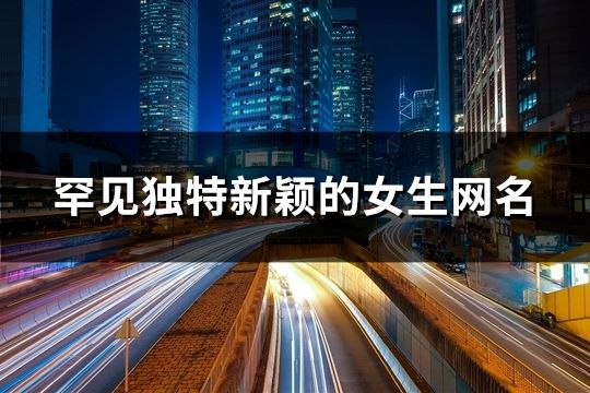 罕见独特新颖的女生网名(精选179个)