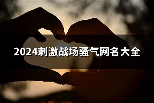 2024刺激战场骚气网名大全(精选159个)