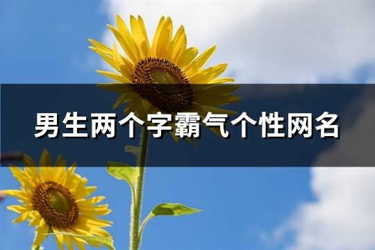 男生两个字霸气个性网名(精选97个)