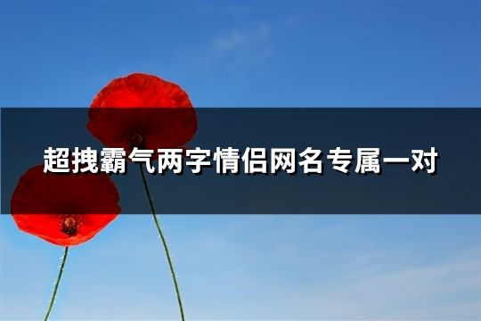 超拽霸气两字情侣网名专属一对(195对)