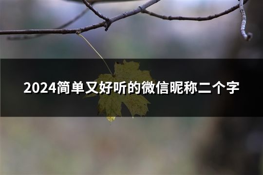 2024简单又好听的微信昵称二个字(82个)