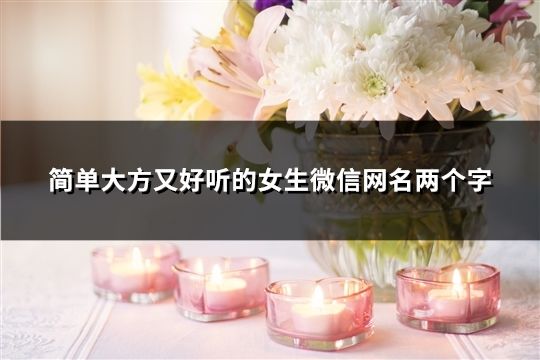 简单大方又好听的女生微信网名两个字(95个)