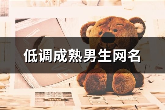 低调成熟男生网名(精选173个)