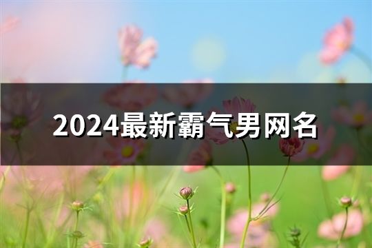 2024最新霸气男网名(共103个)