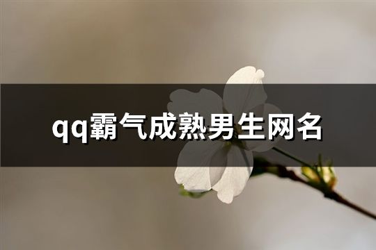 qq霸气成熟男生网名(精选74个)