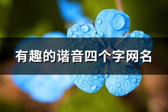 有趣的谐音四个字网名(精选142个)