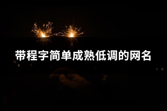 带程字简单成熟低调的网名(共86个)