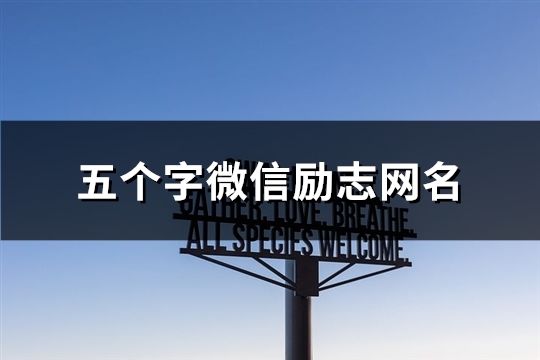 五个字微信励志网名(共86个)