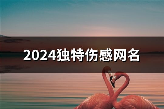 2024独特伤感网名(精选75个)