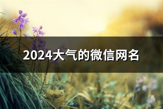2024大气的微信网名(168个)