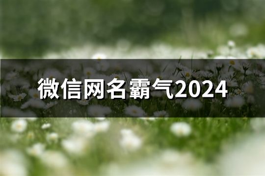 微信网名霸气2024(精选197个)