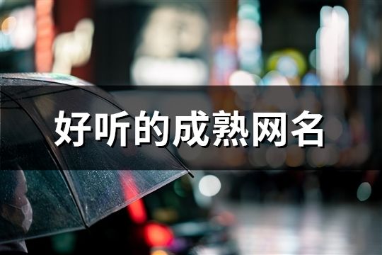 好听的成熟网名(共77个)